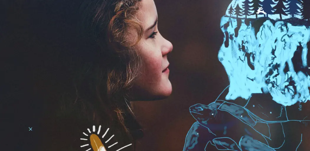 La Plume et la Tortue