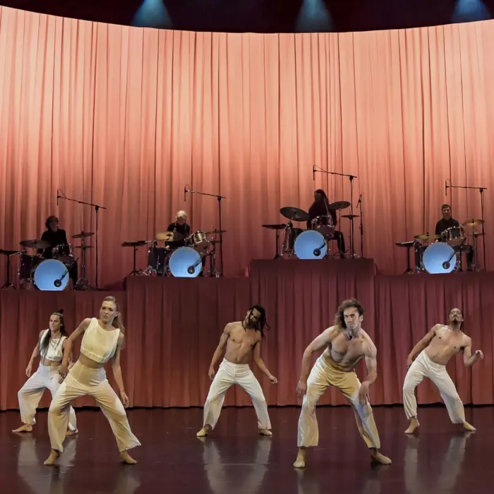 Stephanie Lake Company | Manifesto