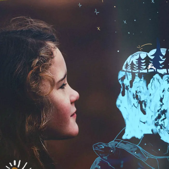 La Plume et la Tortue